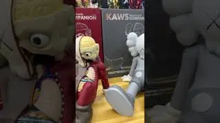 Kaws Resting Place Vinyl figure 🤩🤩