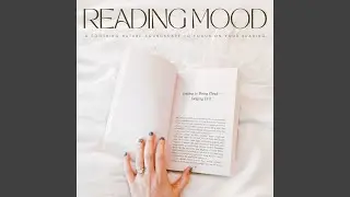 Calming Ambiance