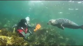Dive S80 richard seals