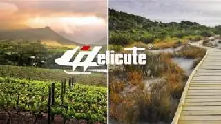 Helicute Drones