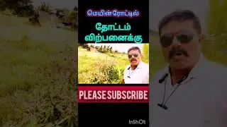 #திருச்சி விராலிமலை அருகில் மாந்தோப்பு விற்பனைக்குள்ளது.