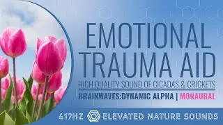 Emotional Trauma Aid 417Hz Pure Tone Monaural BWE Dynamic Alpha Relaxation Sleep Focus Healing