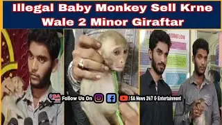 Illegal Baby Monkey Sell Krne Wale 2 Minor Giraftar #sanews24 #shahalibanda #newsupdate #livenews