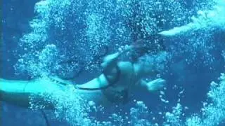 CREATURES FROM A CLEAR LAGOON