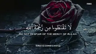 تلاوة هادئة تريح القلب والعقل 🩷😴 | ساعة كاملة🕛 | Calm Quran Recitation