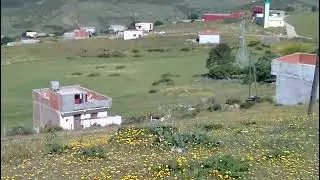 زينه تبارك الله