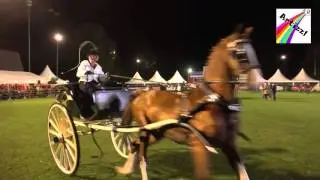 Hippisch de Wolden 2016