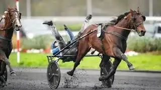 29/01/2026~#programme course du jeudi apr&egrave;s-midi💯👍💯👍💯👍💯👍💯👍💯👍