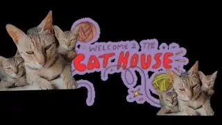 welcome to cat house🏠
