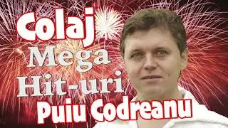 Puiu Codreanu - Colaj Mega Hit-uri, Mix 2016
