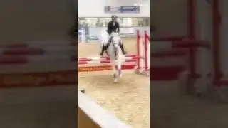 soz for the blur ❤️😝 #horse #strangerthings #equestrianjourney #equestrian #mylitlepony
