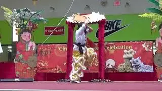 Vivian Chak- Southern Shaolin Straitsword-CNY 2014