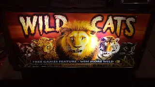Wild Cats - Bonus w/ Re-Trigger - Big Win! - $2.50 Bet