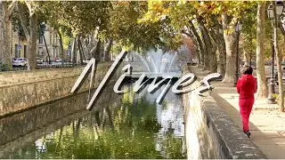 NIMES & CAMARGUE: La Roma di Francia e la natura che non ti aspetti!!!