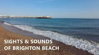 Sights and sounds of Brighton beach (4K)