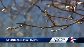 Achoo! Spring allergy season about to explode
