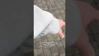 Brand New Roof, Shiners Everywhere (Installer Tried Tar First)