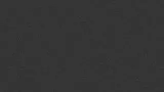 vhs overlay / vhs effect / tv scan lines overlay / analog noise b/w