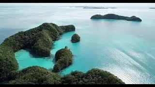 2017 TopDivers Palau Long Version