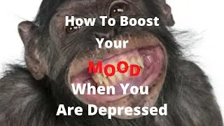 How To Boost Your Mood When Depressed - You'll Be Glad You Did This!!