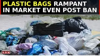 Maharashtra Bans Single-Use Plastic Bags to Fight Pollution, But Enforcement Falls Short | Top News
