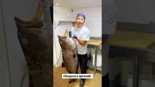 Hoy la pesca del d&iacute;a es Mero Murique #huevo #chef #comida #food #cocina #cuchillos #tramontina