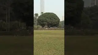 Spectacular view of  Victoria Memorial Garden,Kolkata