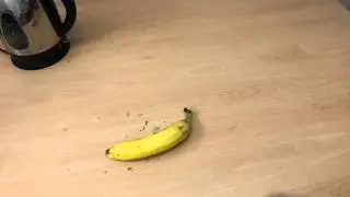 How to make: Banana Beer