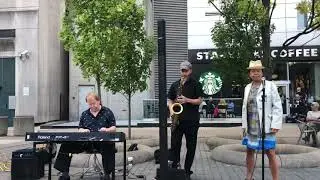 Laura Hubert Trio / Music in the Park