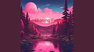 Chasing Feathers