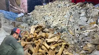 The Incredible Process of Recycling Millions of Animal Bones and Turning Them into Jacket Buttons 🔘