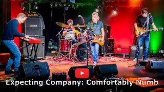 Expecting Company: Comfortably Numb