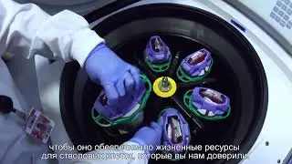 Экскурсия в хранилище стволовых клеток CBR | Cord Blood Registry
