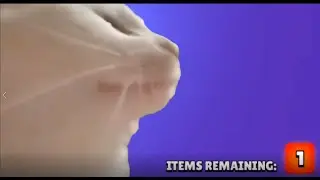 box opening pains in a nutshell🐈