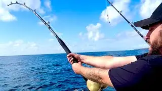 shark fishing /huge surprise fish / releasing massive tuna