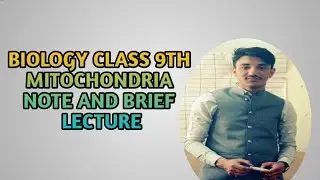 MITOCHONDRIA, MORPHOLOGY AND FUNCTION@ FOR EDUCATION ONLY.DR.HAFIZ SULTAN ACADEMY 