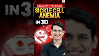 Understanding Sickle Cell Anemia: Key Concepts for Class 12 & NEET Aspirants!