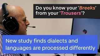 New study finds dialects and languages are processed differently