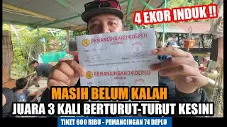 LAGI-LAGI JUARA DI PEMANCINGAN 74‼️KALI INI BORONG 4 EKOR INDUK‼️