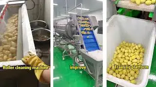 Efficient Vegetable Washing Line: Tips for Clean Kitchen Produce