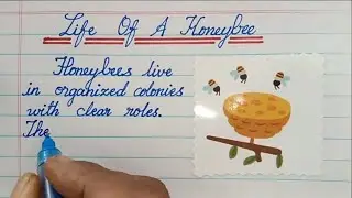 Life of a Honeybee | Essay on Life of a Honeybee |Essay in Cursive Writing| Few Lines Essay Honeybee