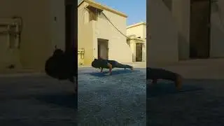 How to build your muscle Strength by Slower pushups during lockdown
