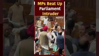 Parliament Security Breach: MPs Beat Up Parliament Intruder