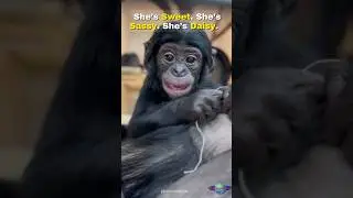 Meet Daisy, The Ultimate Mama&rsquo;s Girl! 🐒💕