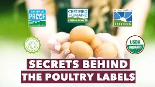 Everything You Need To Know About Poultry Labeling! | Complete Human Podcast