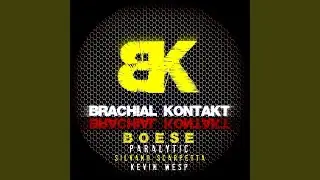 Boese