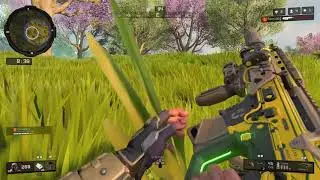 Golden Rampart in capable hands Blackout Solo Victory 4/28/19