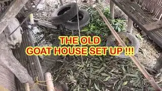 HOW TO MAKE A SIMPLE GOAT HOUSE USING BAMBOO #EXPAT LEGEND #171
