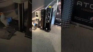 Atohm loudspeakers & weird demo music