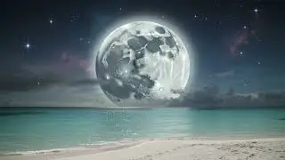 Reggae Dub Mix — Full Moon Island Vibes 🌊 Chill Bass & Delay | Dubwave